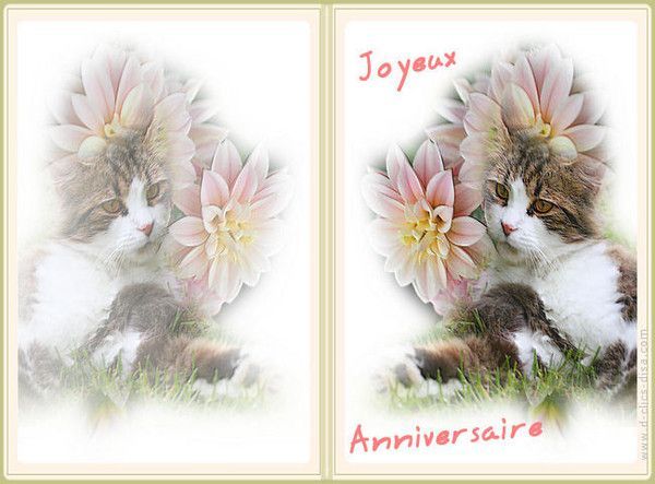 carte anniversaire