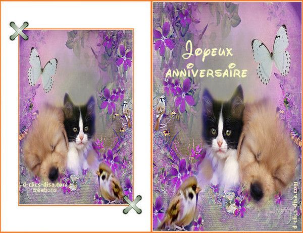 carte anniversaire