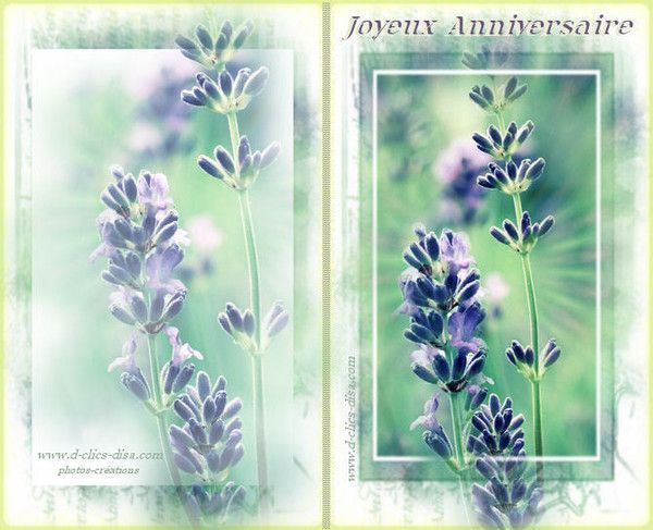 carte anniversaire